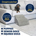 Dreamcatcher Dreamcatcher Dog Steps | 2 Stair Steps High Density Foam Pet Stairs for Bed