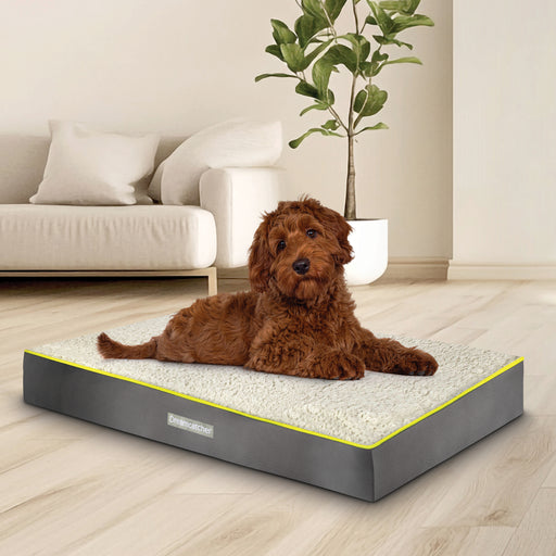 Dreamcatcher Dreamcatcher Grey Large Dog Bed Orthopaedic Mattress 89x56x9cm