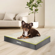 Dreamcatcher Dreamcatcher Grey Medium Dog Bed Orthopaedic Mattress 76x51x9cm