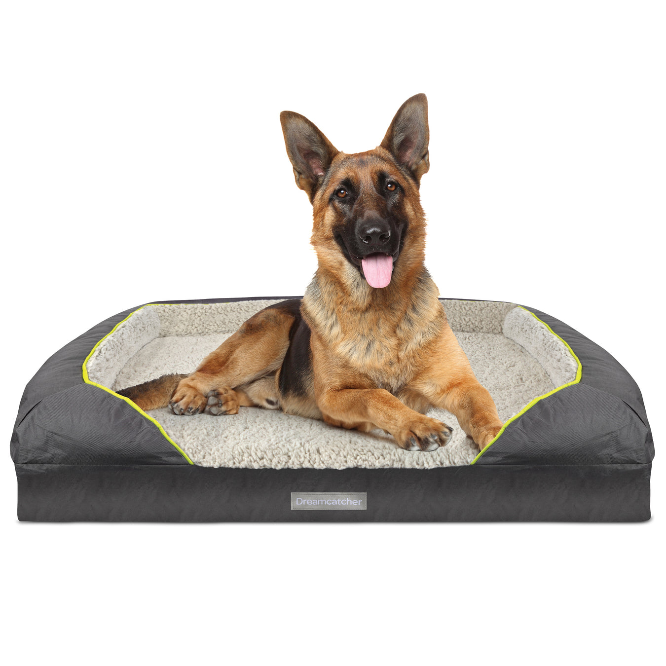 Dog Beds